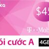 T Mobile long term Plan A