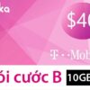 Sim 4g Mỹ định cư dài hạn Gói B 60 ngày