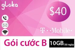 Sim 4g Mỹ định cư dài hạn Gói B 60 ngày