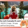 Sim du lịch canada b-card Gloka