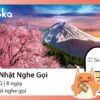 sim điện thoại nhật Gloka