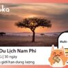 Sim du lịch Nam Phi Gloka