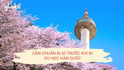 Cần chuẩn bị gì trước khi đi du học Hàn Quốc