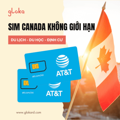 chuẩn bị du học hè Canada