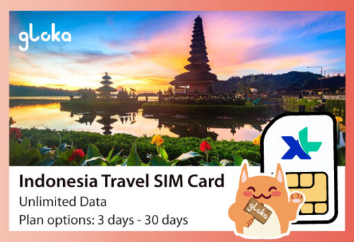 Indonesia Travel SIM Card XL