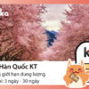 Sim Han Quoc KT