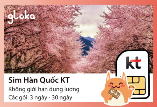 Sim Han Quoc KT